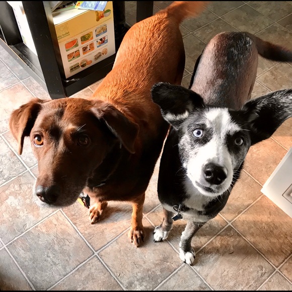 Meet your Posher, Amanda - Picture 2 of 8